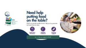 A graphic for MRC and SNAP with a blobby blue shape on the bottom, text that reiterates what is in the blog post, logos for MRC and SNAP, and an image of a woman shopping the produce aisle with a young child.