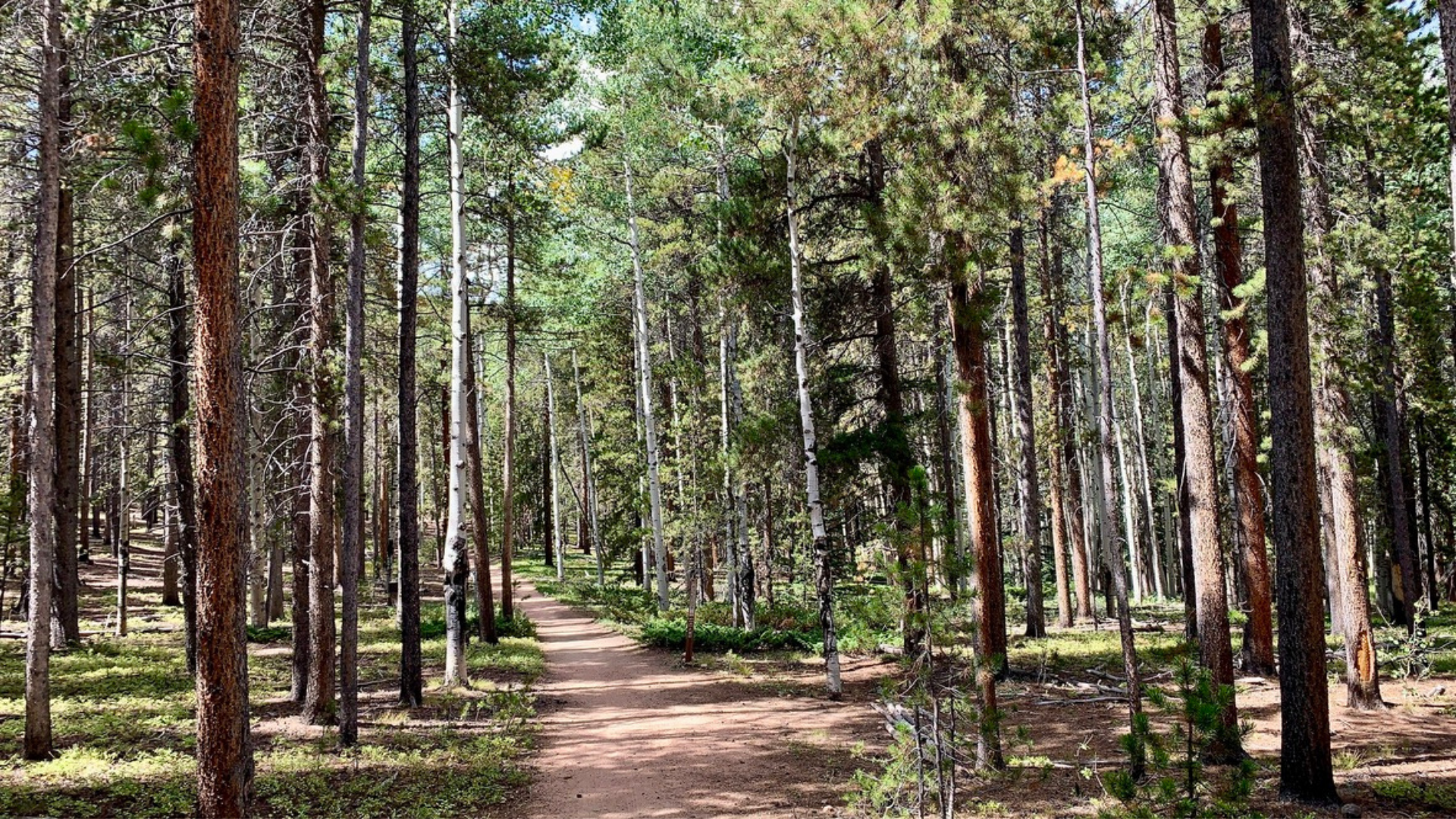 Colorado Sunrise Trails: a Bright Path Ahead